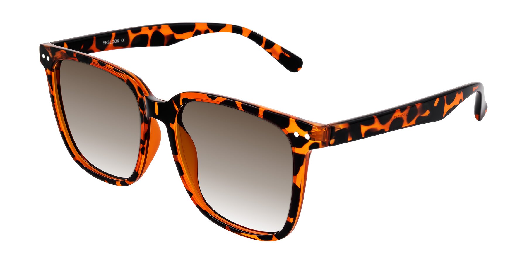 Angle of Arroyo in Tortoise with Brown Gradient Lenses