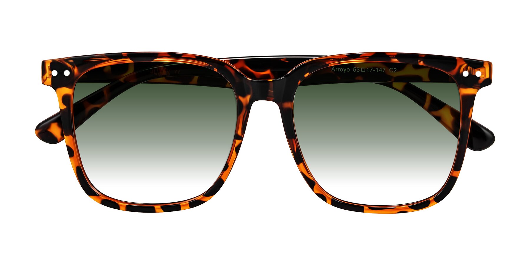 Folded Front of Arroyo in Tortoise with Green Gradient Lenses