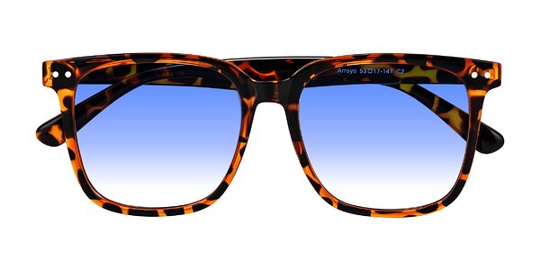 Front of Arroyo in Tortoise
