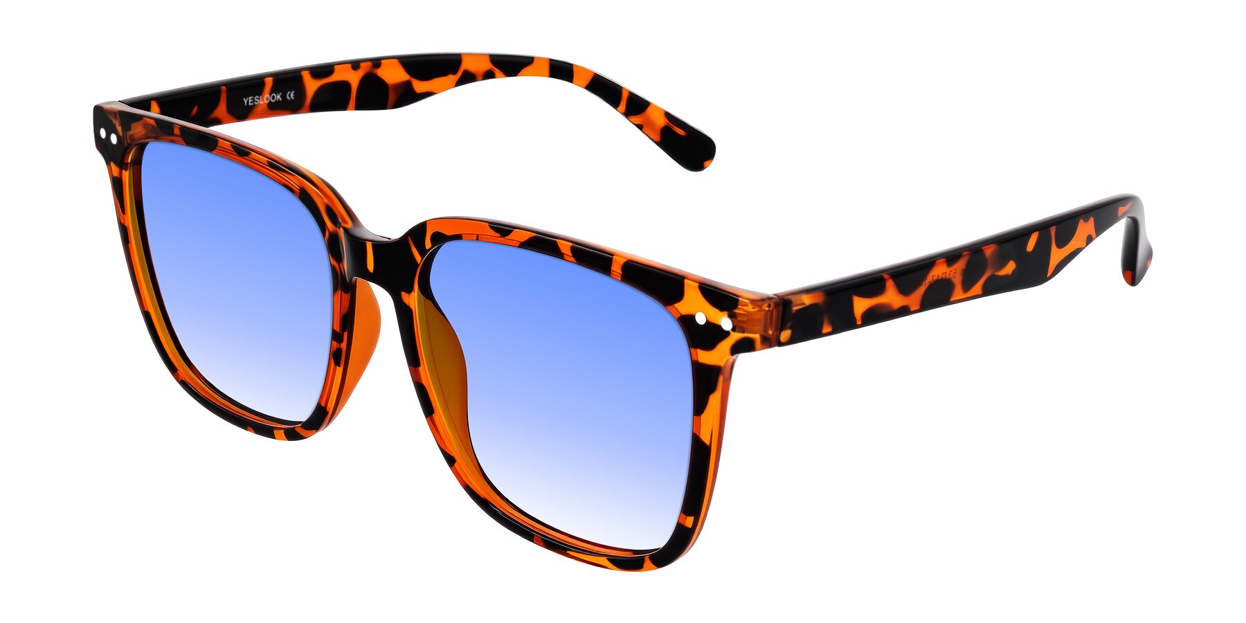 Angle of Arroyo in Tortoise with Blue Gradient Lenses