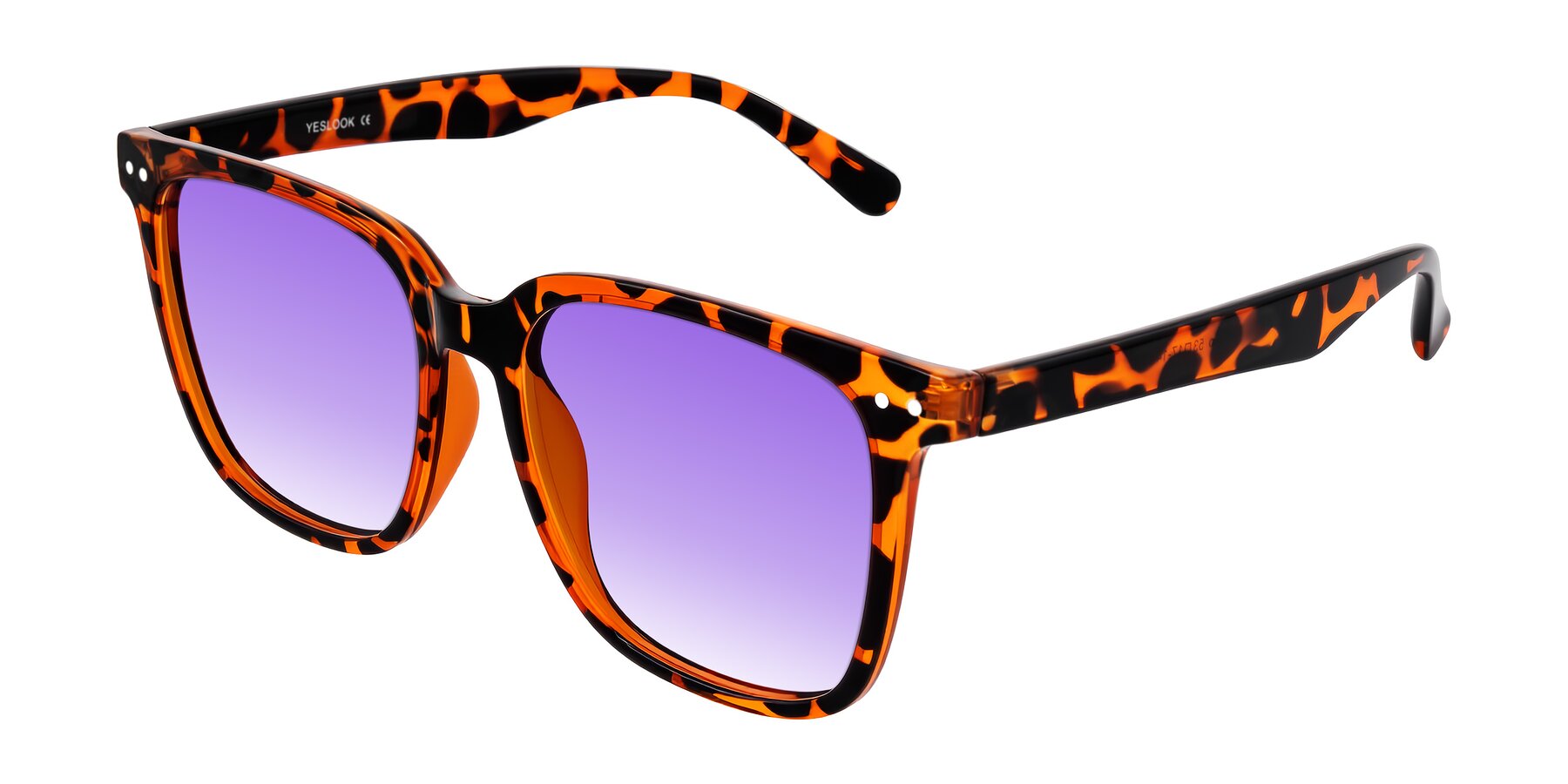 Angle of Arroyo in Tortoise with Purple Gradient Lenses