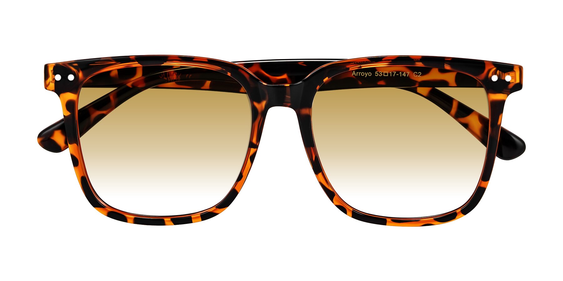 Folded Front of Arroyo in Tortoise with Champagne Gradient Lenses