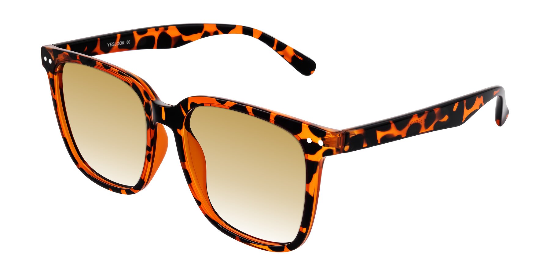 Angle of Arroyo in Tortoise with Champagne Gradient Lenses