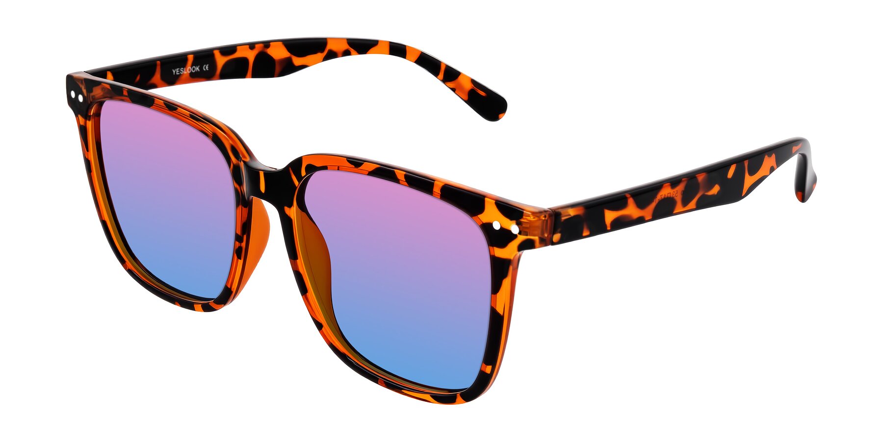 Angle of Arroyo in Tortoise with Pink / Blue Gradient Lenses