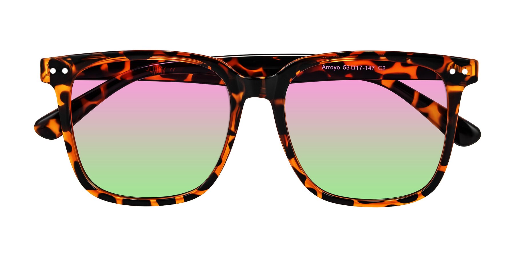 Folded Front of Arroyo in Tortoise with Pink / Green Gradient Lenses