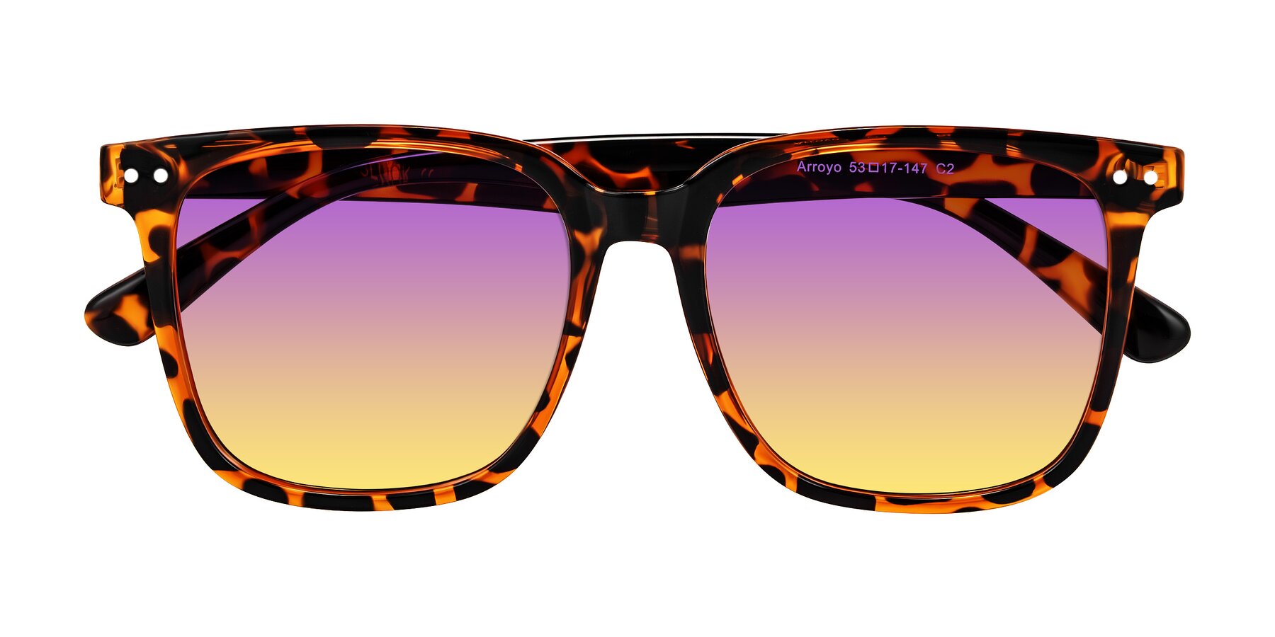 Folded Front of Arroyo in Tortoise with Purple / Yellow Gradient Lenses