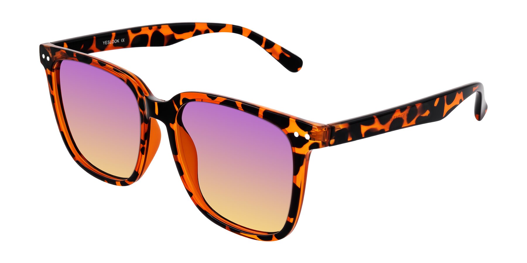 Angle of Arroyo in Tortoise with Purple / Yellow Gradient Lenses
