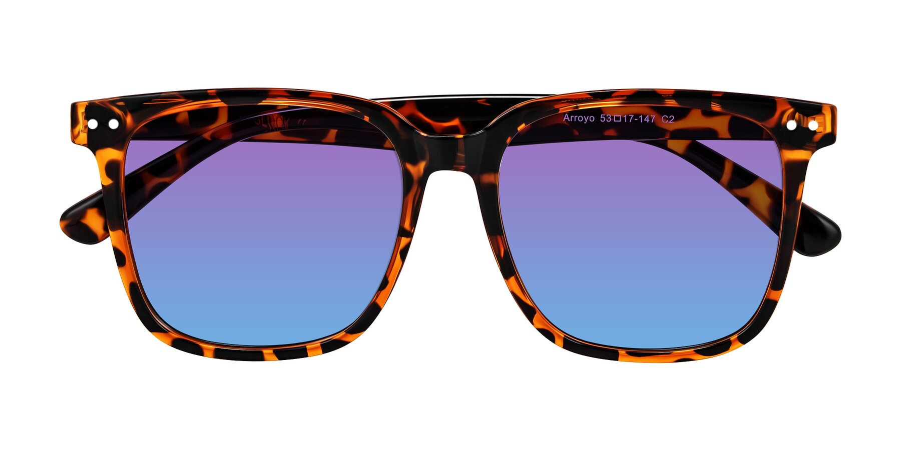 Folded Front of Arroyo in Tortoise with Purple / Blue Gradient Lenses