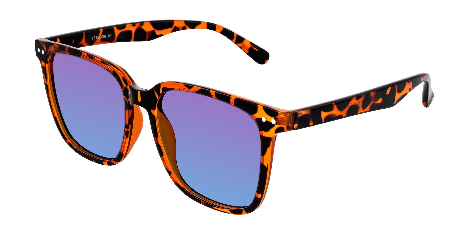 Angle of Arroyo in Tortoise with Purple / Blue Gradient Lenses