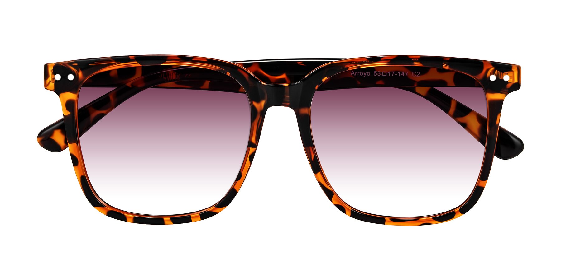 Folded Front of Arroyo in Tortoise with Wine Gradient Lenses