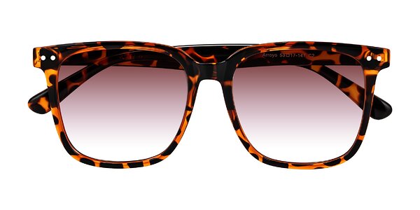 Front of Arroyo in Tortoise