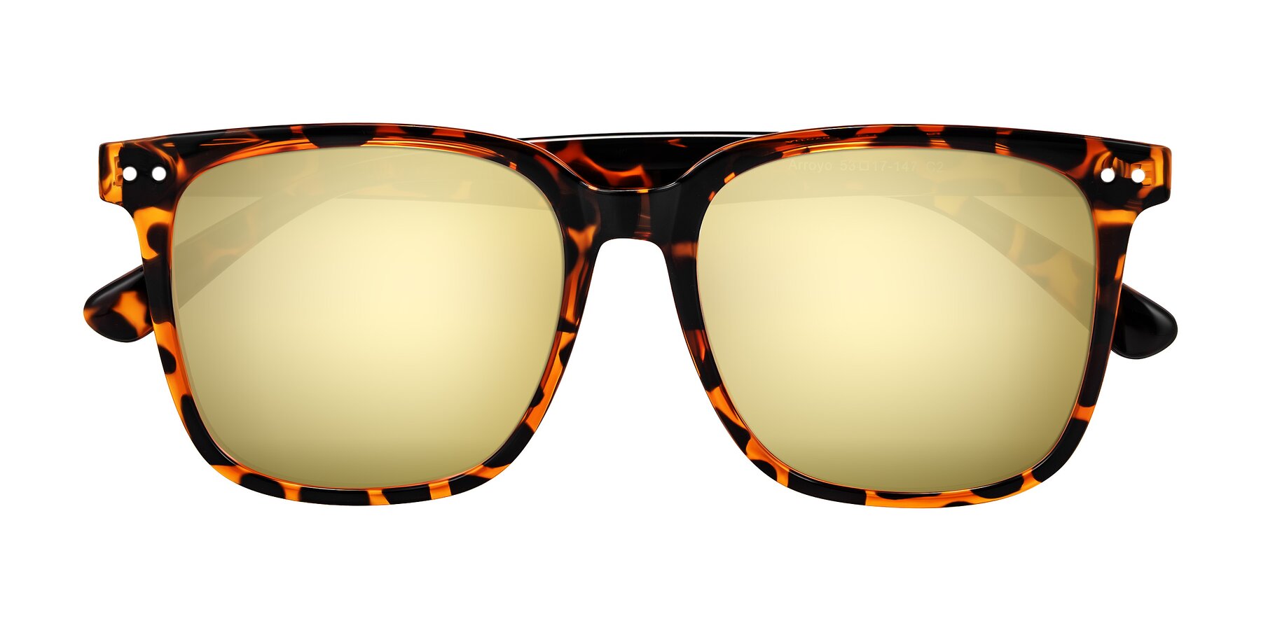 Folded Front of Arroyo in Tortoise with Gold Mirrored Lenses