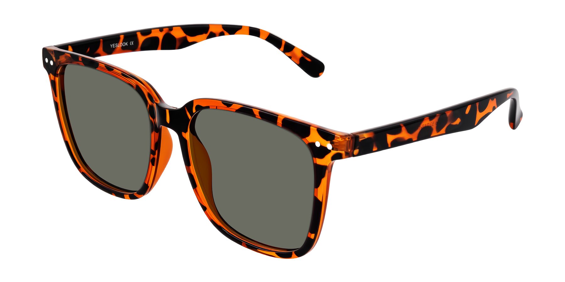 Angle of Arroyo in Tortoise with Gray Polarized Lenses