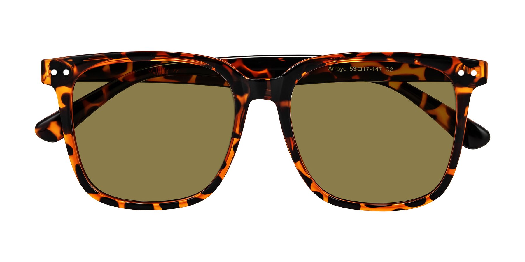 Folded Front of Arroyo in Tortoise with Brown Polarized Lenses