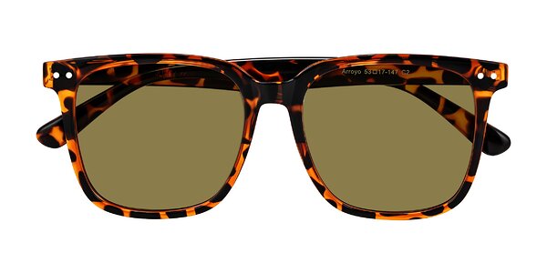 Front of Arroyo in Tortoise