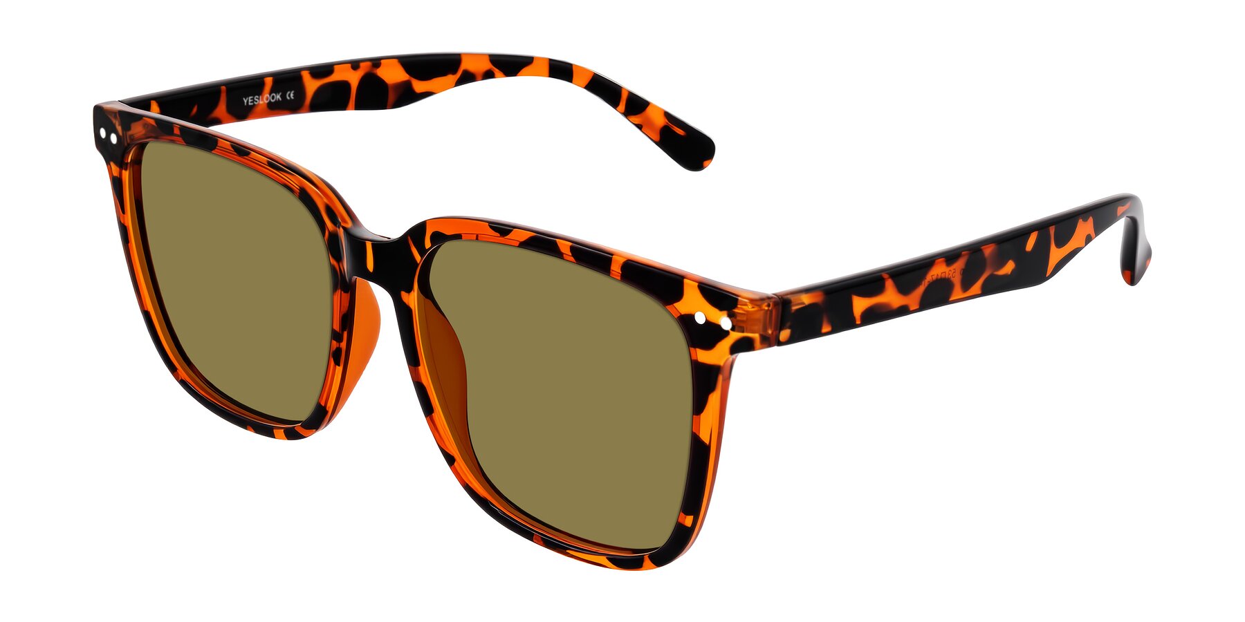 Angle of Arroyo in Tortoise with Brown Polarized Lenses