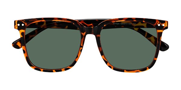 Front of Arroyo in Tortoise