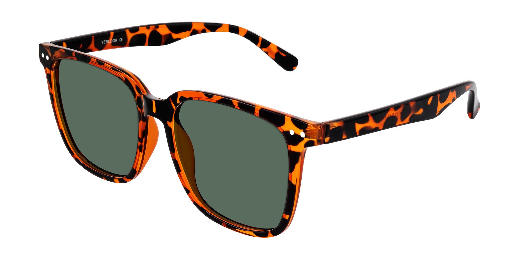 Angle of Arroyo in Tortoise with Green Polarized Lenses