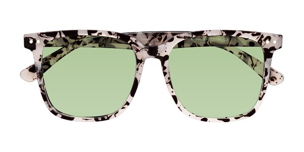 Front of Arroyo in Ivory Tortoise