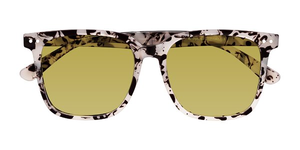 Front of Arroyo in Ivory Tortoise