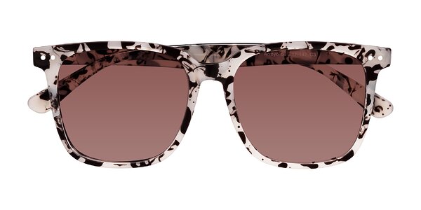Front of Arroyo in Ivory Tortoise
