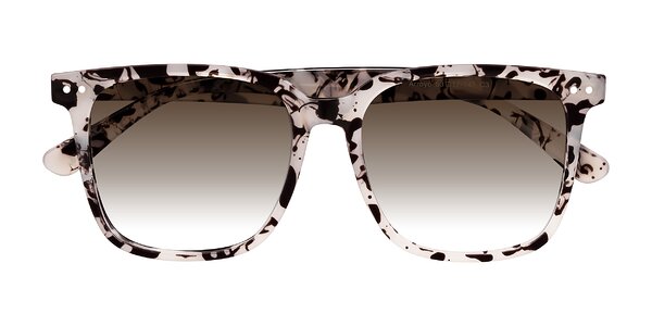 Front of Arroyo in Ivory Tortoise