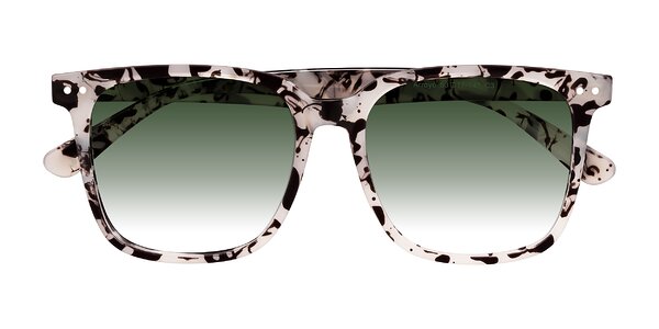 Front of Arroyo in Ivory Tortoise