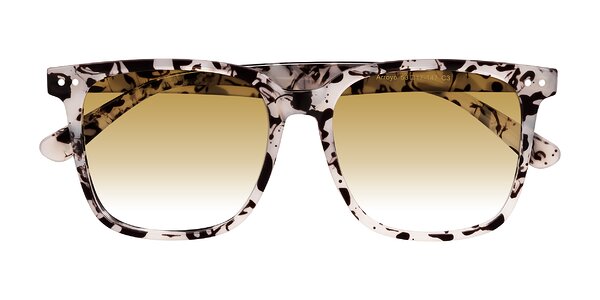 Front of Arroyo in Ivory Tortoise