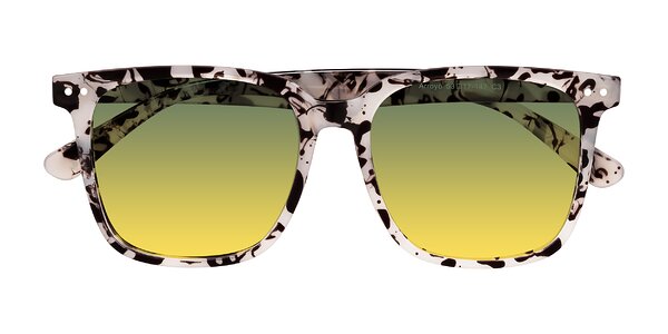 Front of Arroyo in Ivory Tortoise