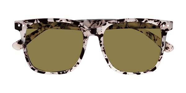Front of Arroyo in Ivory Tortoise