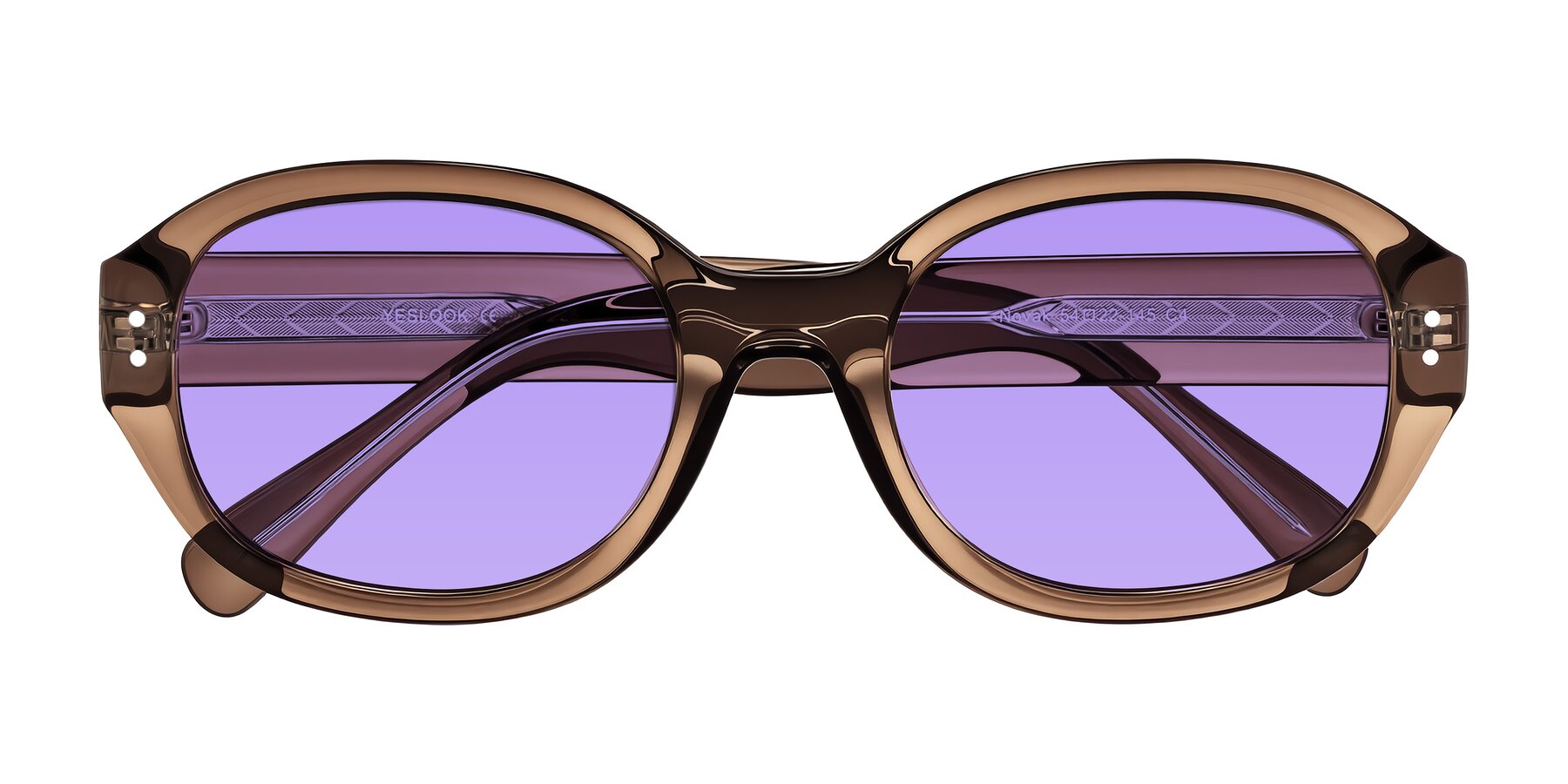 Folded Front of Novak in Translucent Brown with Medium Purple Tinted Lenses