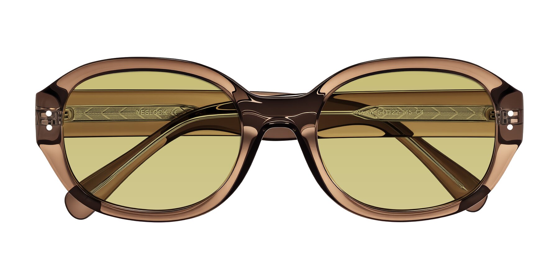 Folded Front of Novak in Translucent Brown with Medium Champagne Tinted Lenses
