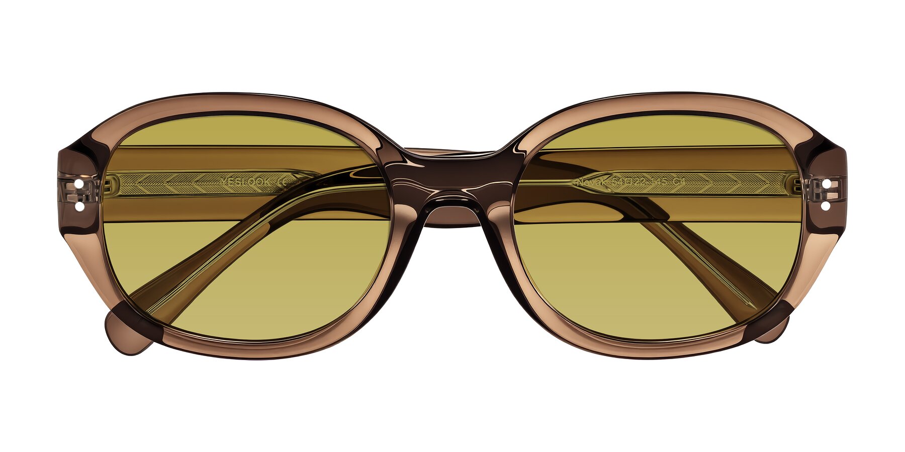 Folded Front of Novak in Translucent Brown with Champagne Tinted Lenses