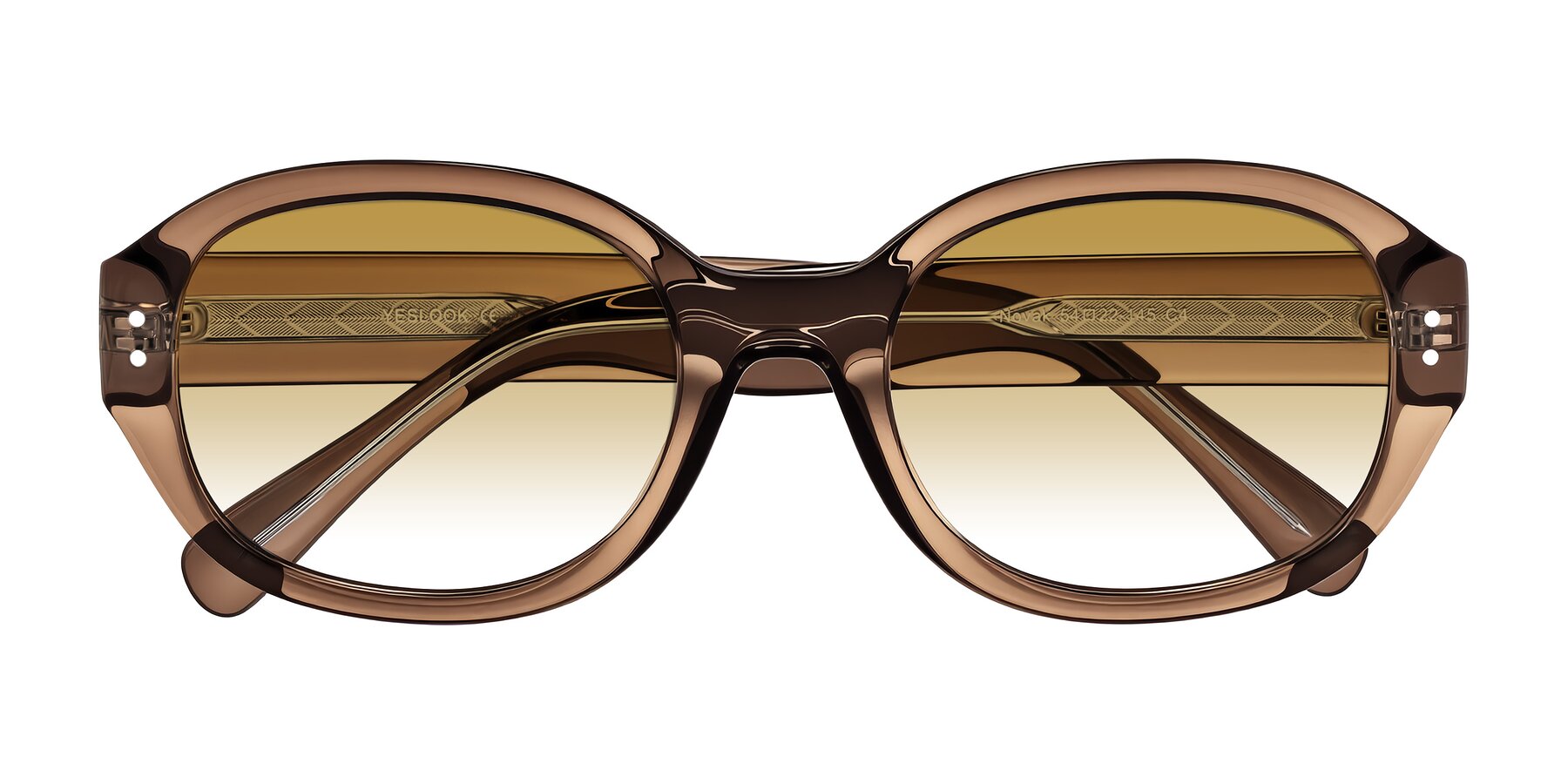 Folded Front of Novak in Translucent Brown with Champagne Gradient Lenses