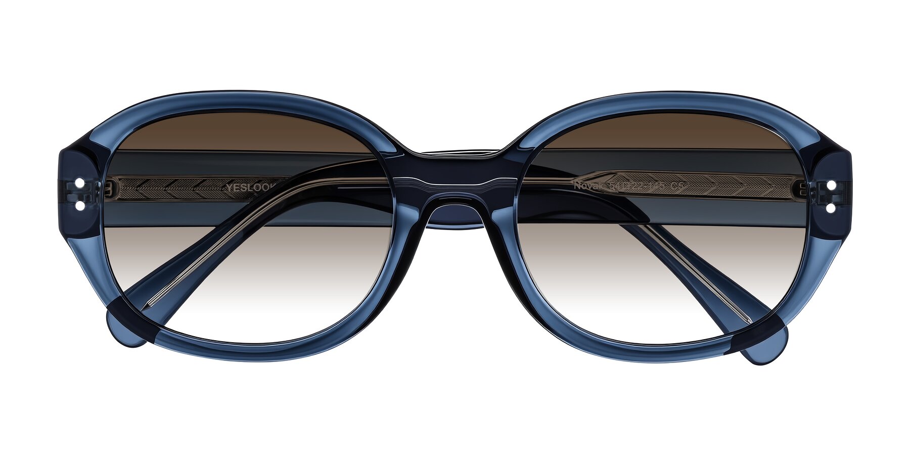 Folded Front of Novak in Translucent Blue with Brown Gradient Lenses