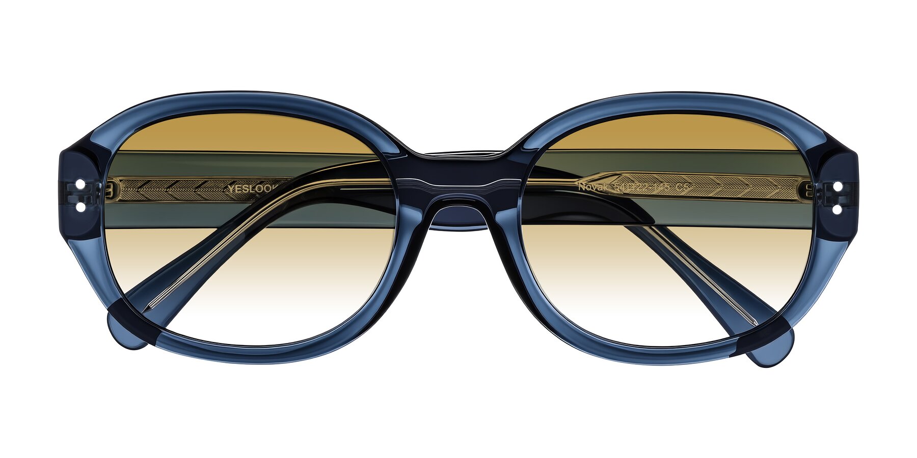 Folded Front of Novak in Translucent Blue with Champagne Gradient Lenses