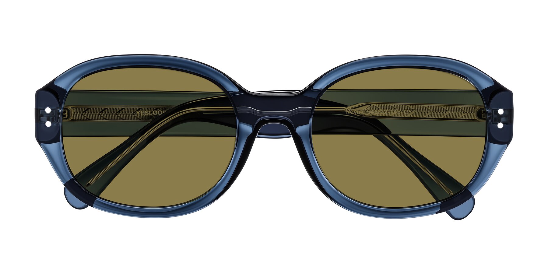 Folded Front of Novak in Translucent Blue with Brown Polarized Lenses