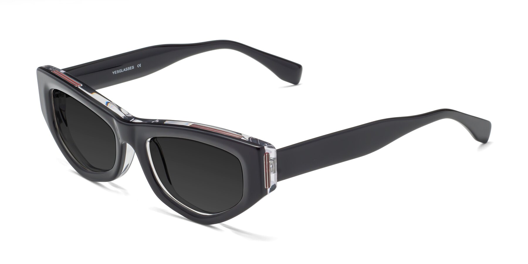 Angle of 1313 in Black-Clear with Gray Polarized TAC Lenses