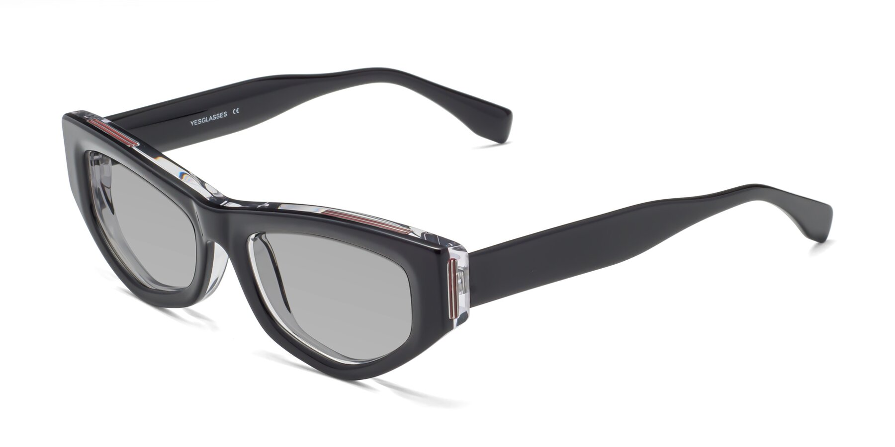 Angle of 1313 in Black-Clear with Light Gray Tinted Lenses
