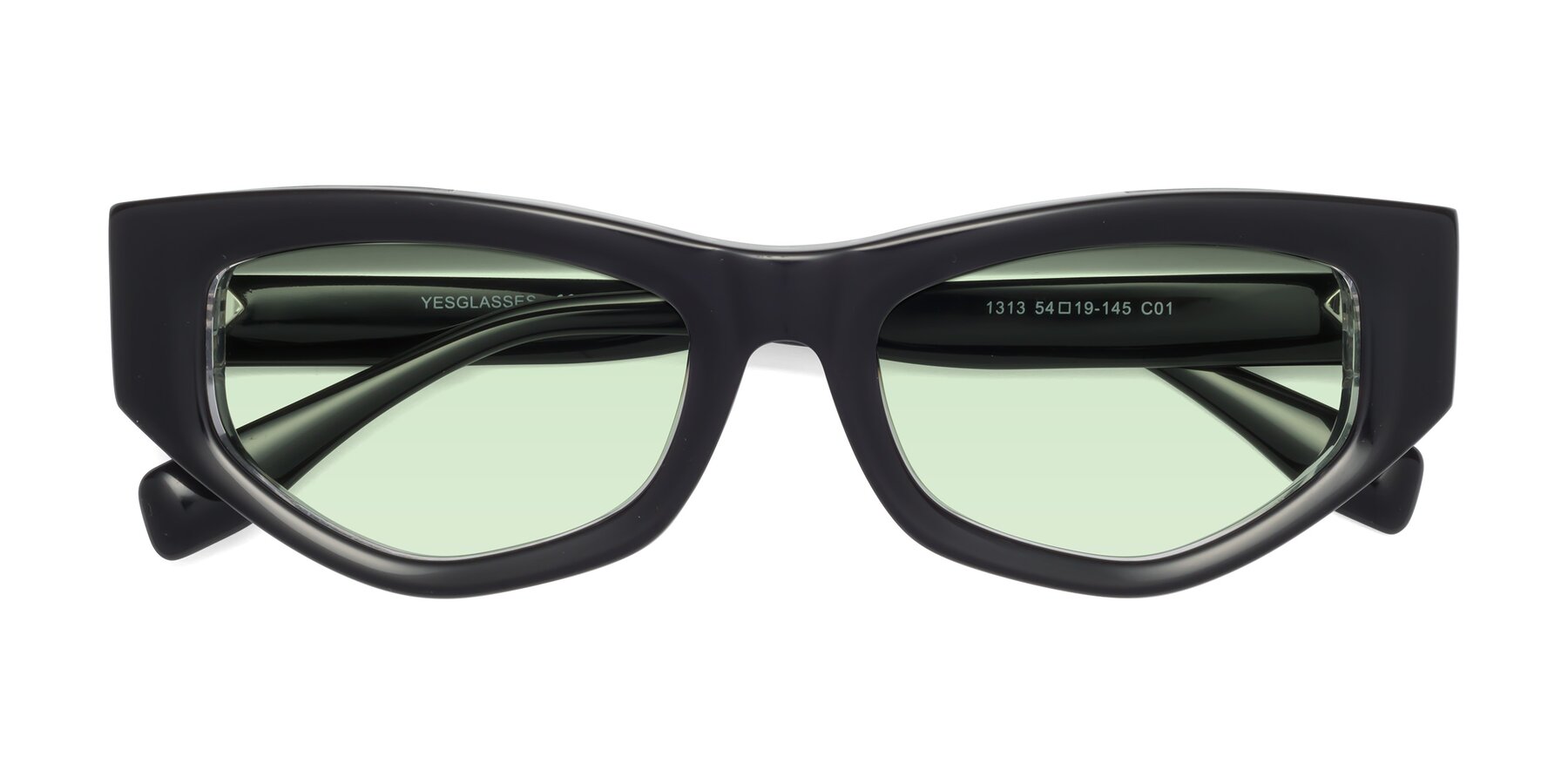 Folded Front of 1313 in Black-Clear with Light Green Tinted Lenses