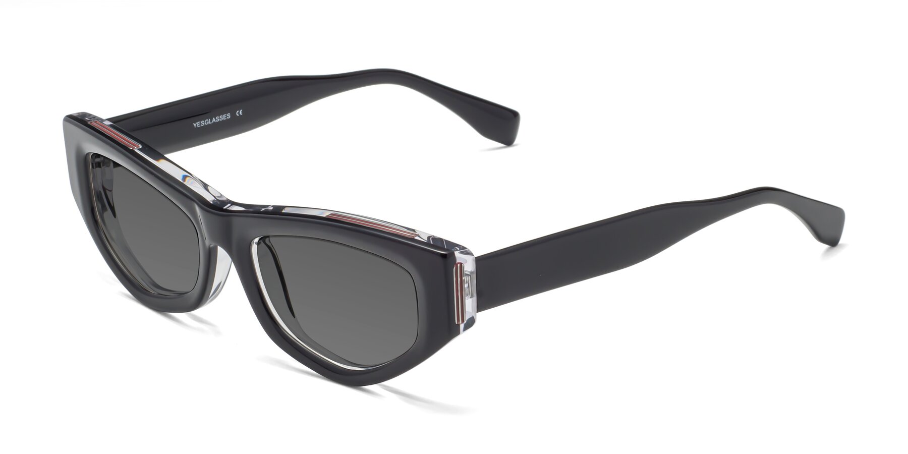 Angle of 1313 in Black-Clear with Medium Gray Tinted Lenses