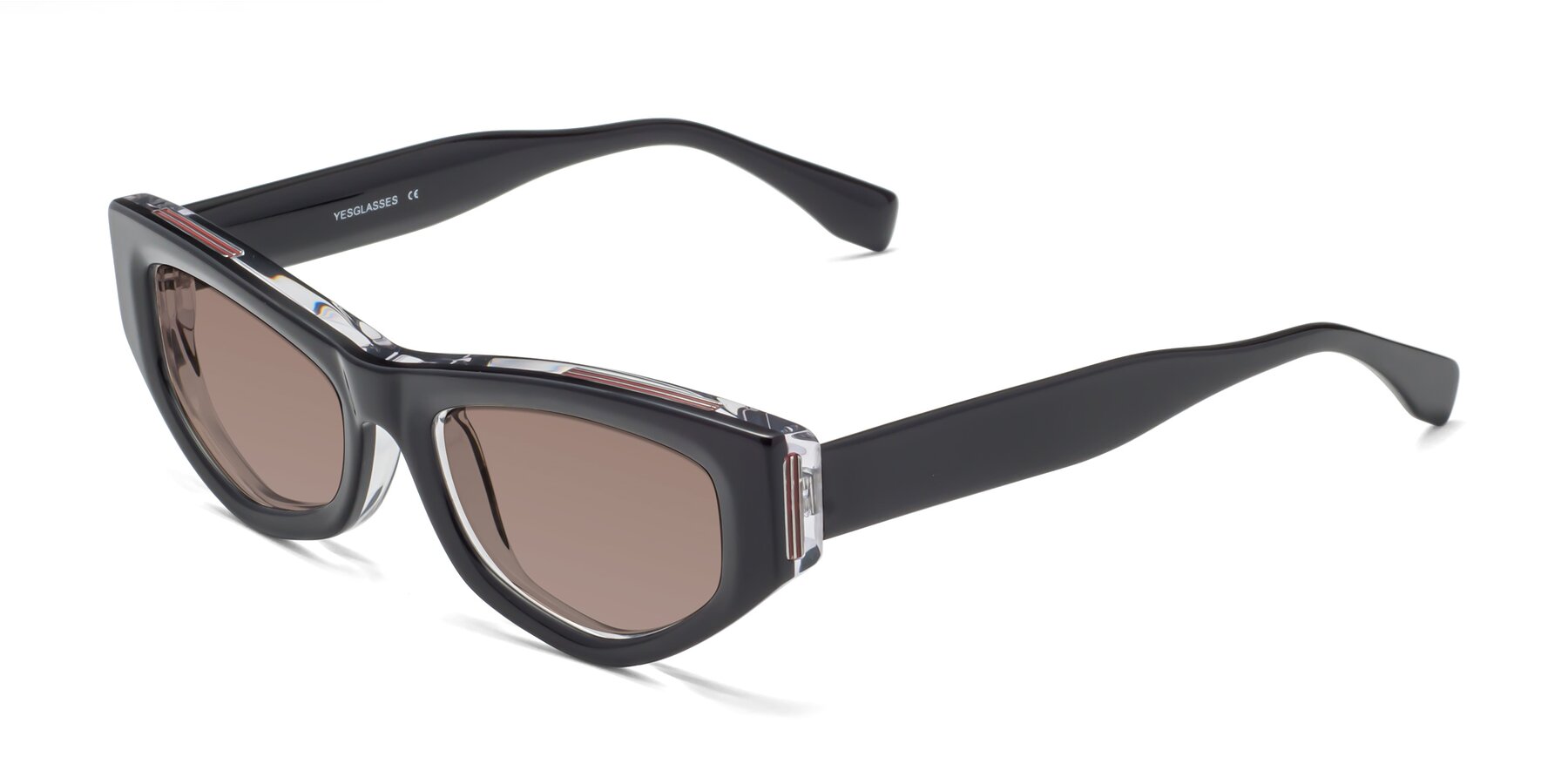 Angle of 1313 in Black-Clear with Medium Brown Tinted Lenses