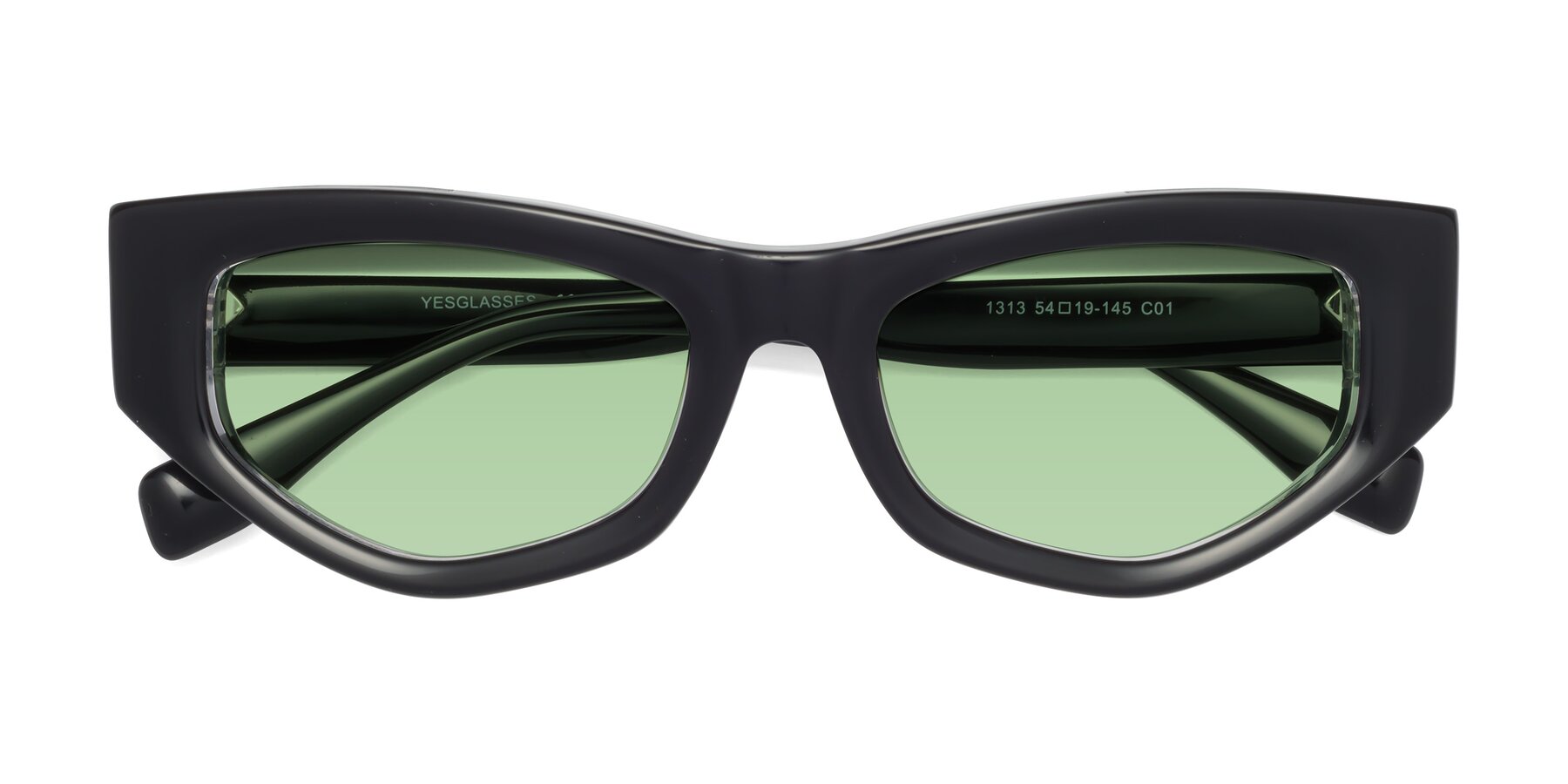 Folded Front of 1313 in Black-Clear with Medium Green Tinted Lenses
