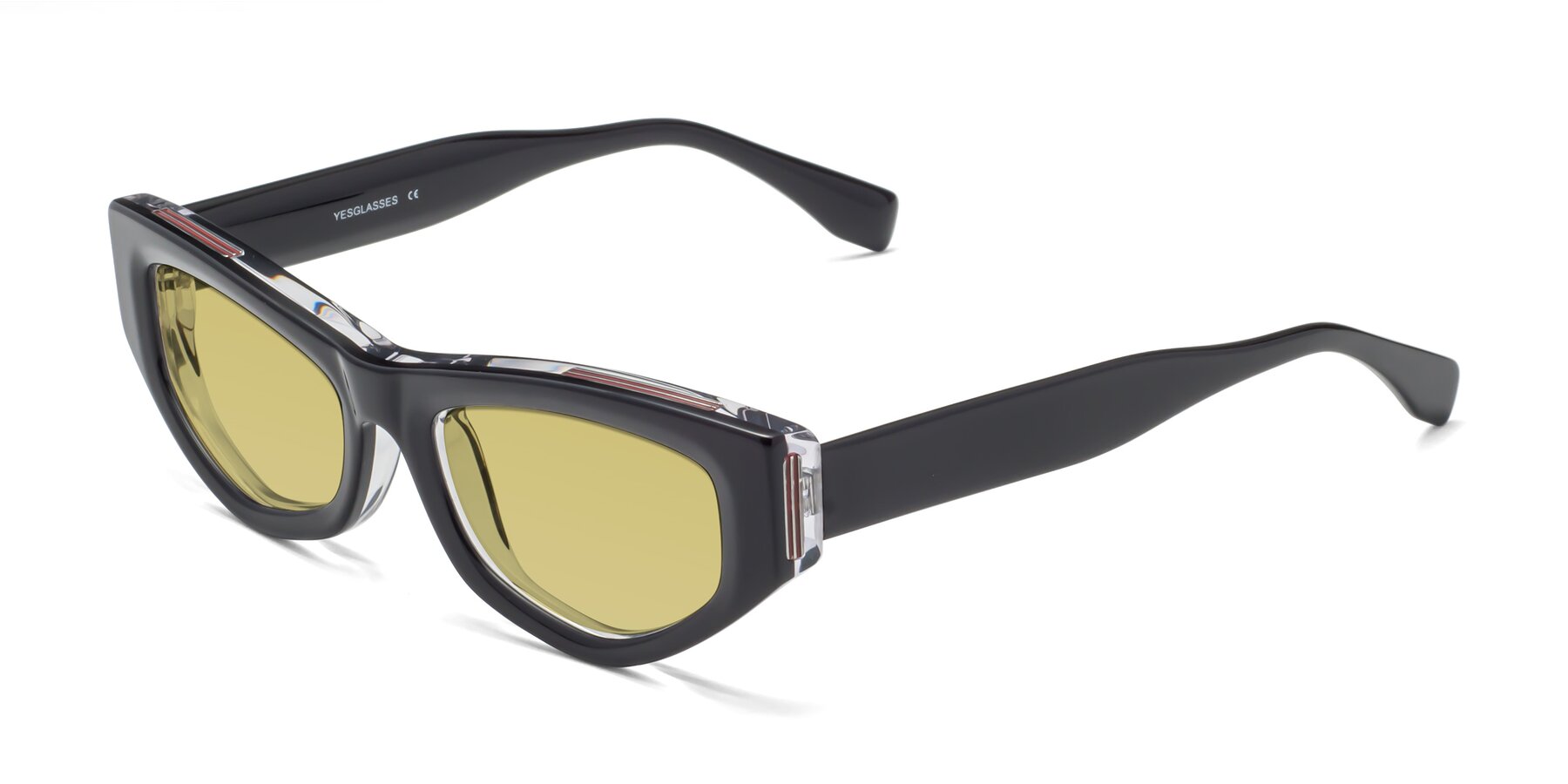 Angle of 1313 in Black-Clear with Medium Champagne Tinted Lenses