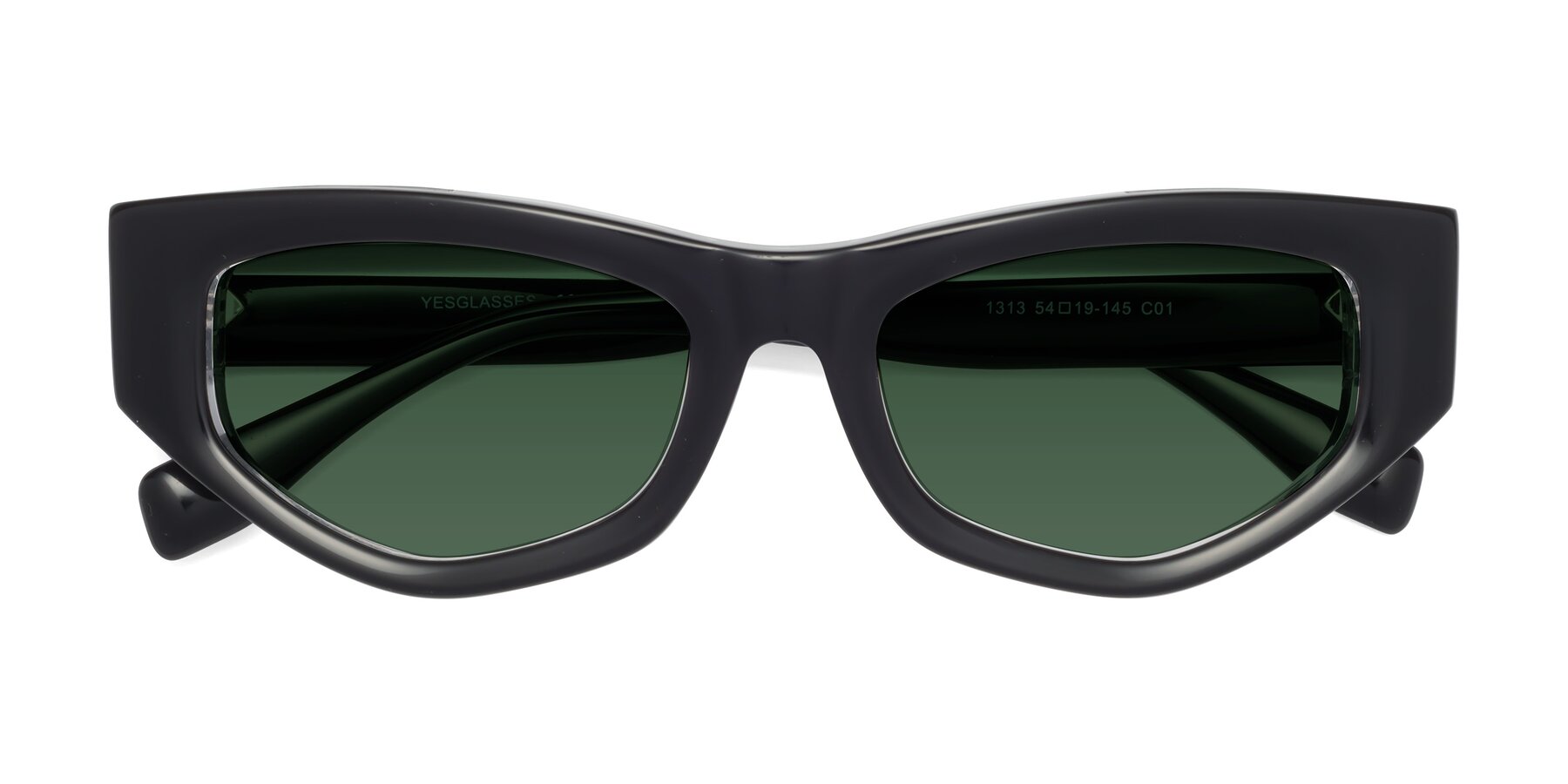Folded Front of 1313 in Black-Clear with Green Tinted Lenses