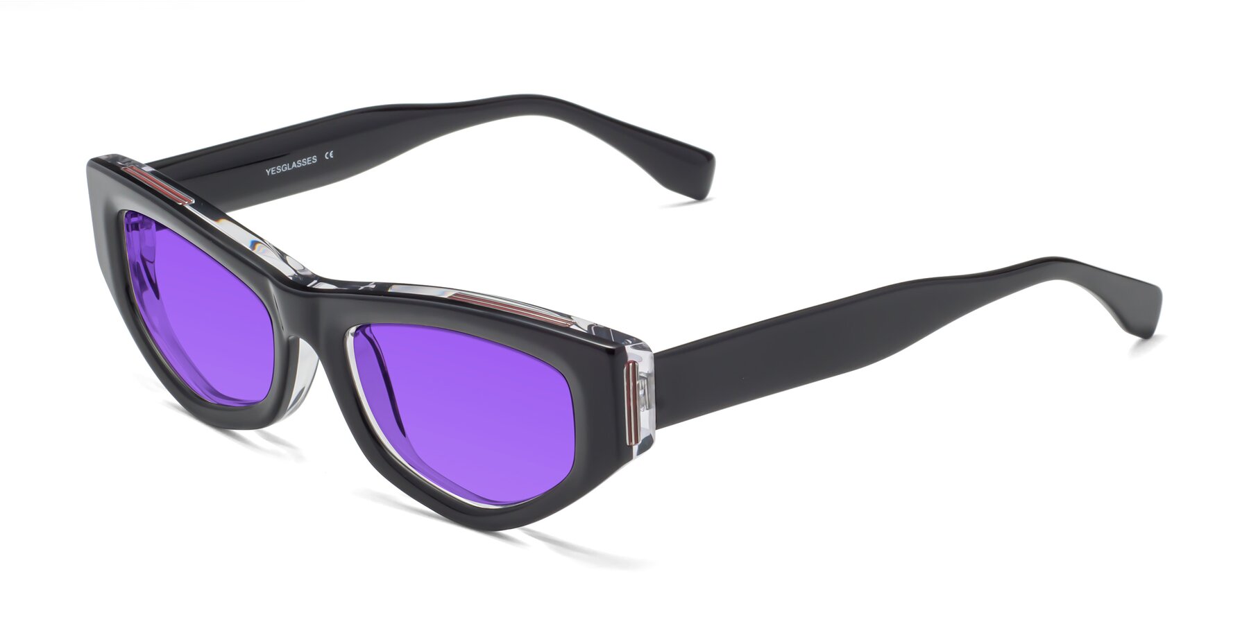 Angle of 1313 in Black-Clear with Purple Tinted Lenses