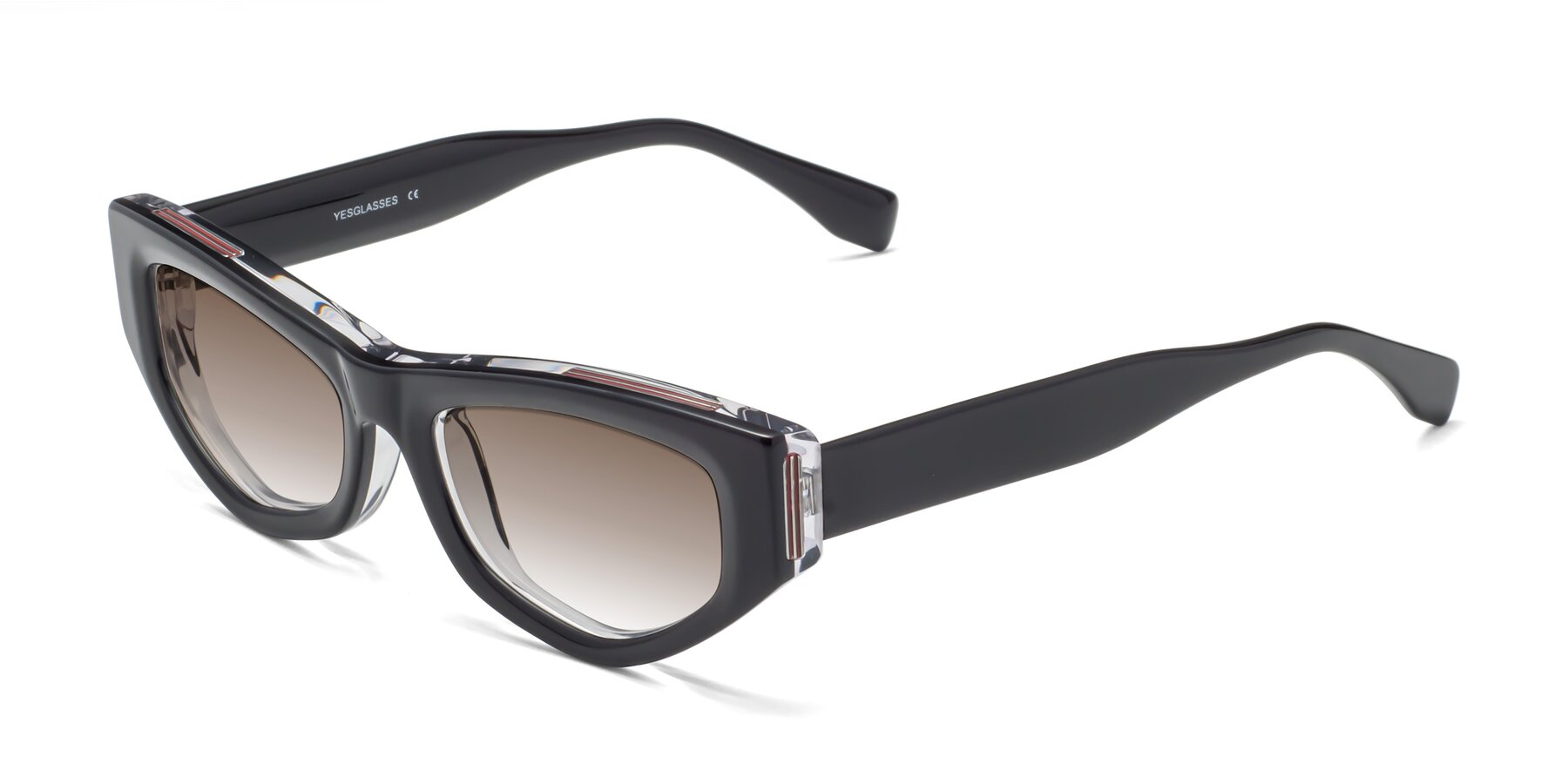Angle of 1313 in Black-Clear with Brown Gradient Lenses