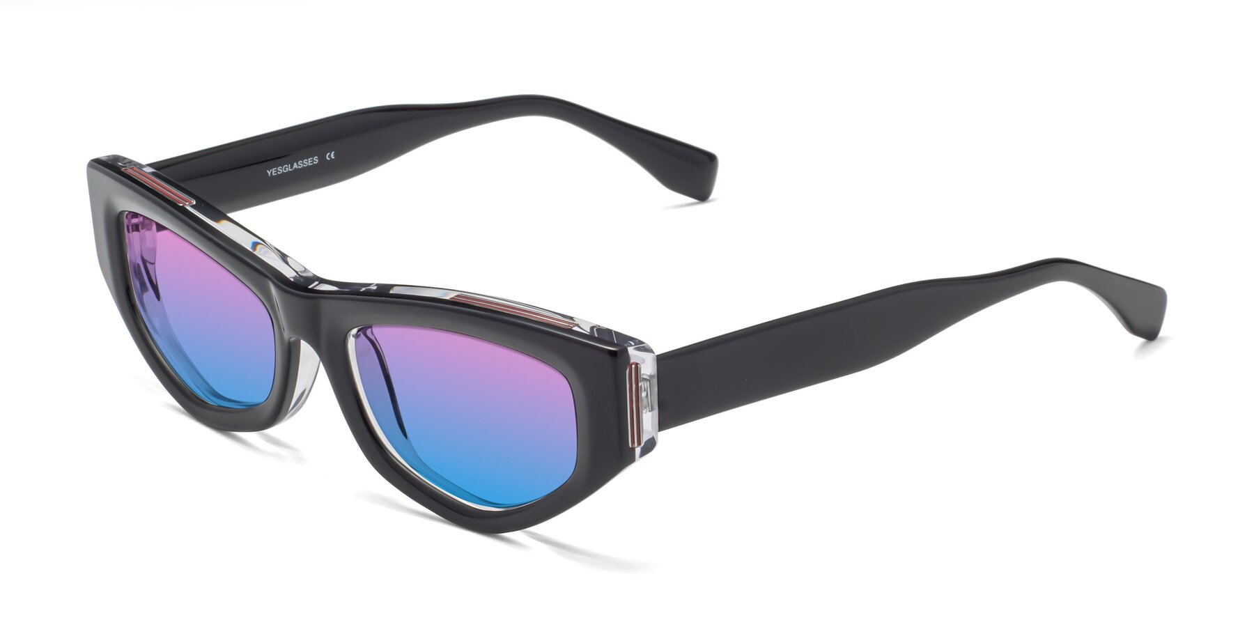 Angle of 1313 in Black-Clear with Pink / Blue Gradient Lenses