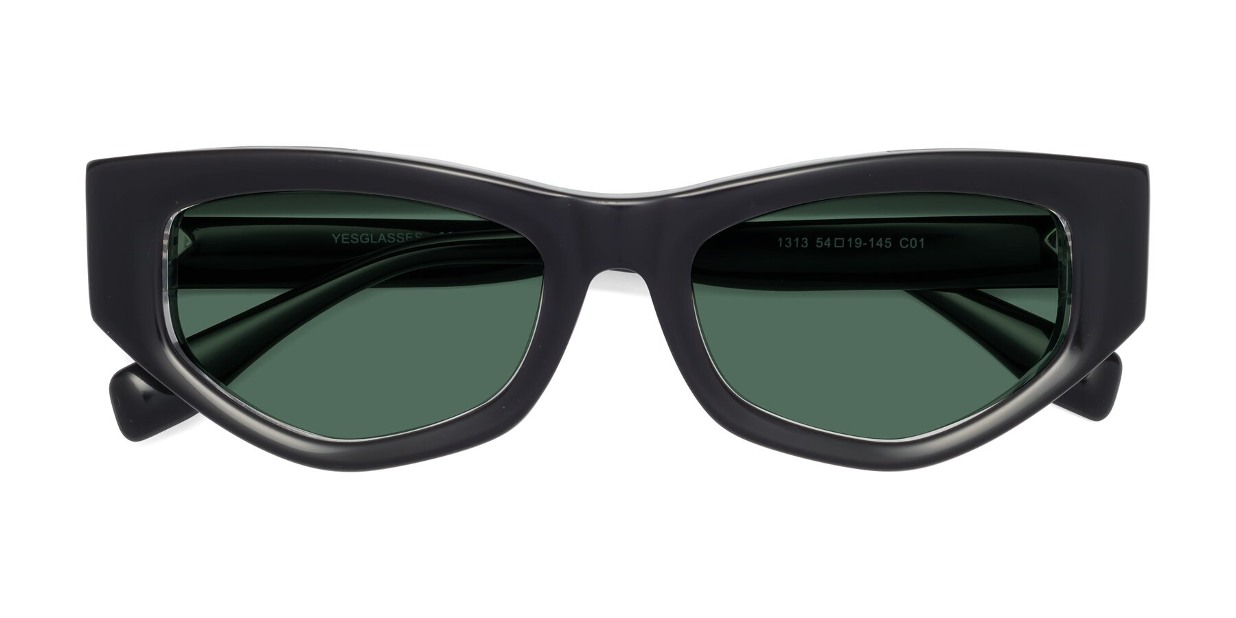 Folded Front of 1313 in Black-Clear with Green Polarized Lenses