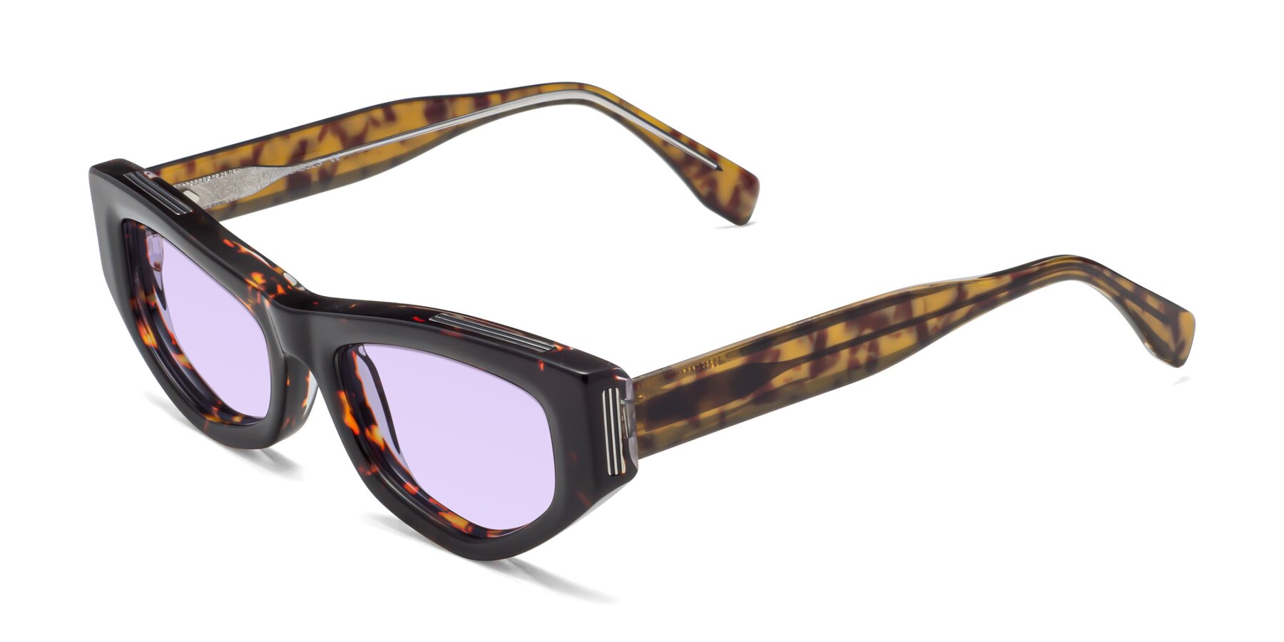 Angle of 1313 in Honey Tortoise with Light Purple Tinted Lenses